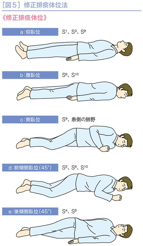 左側位|介護の基本姿勢: 側臥位とその重要性